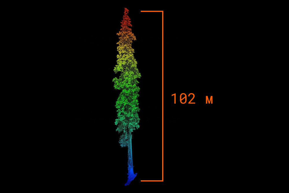 квартира 102 кв м. 102 метра.