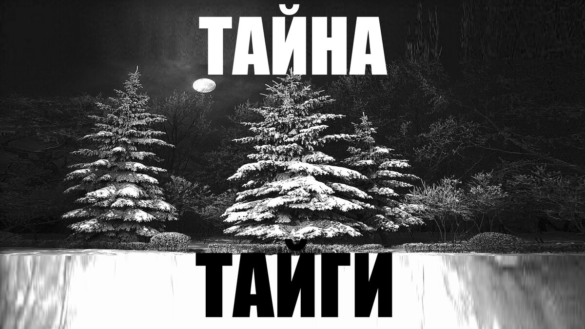 Тайга тайна. Тайны тайги. Тайны тайги 5 класс.