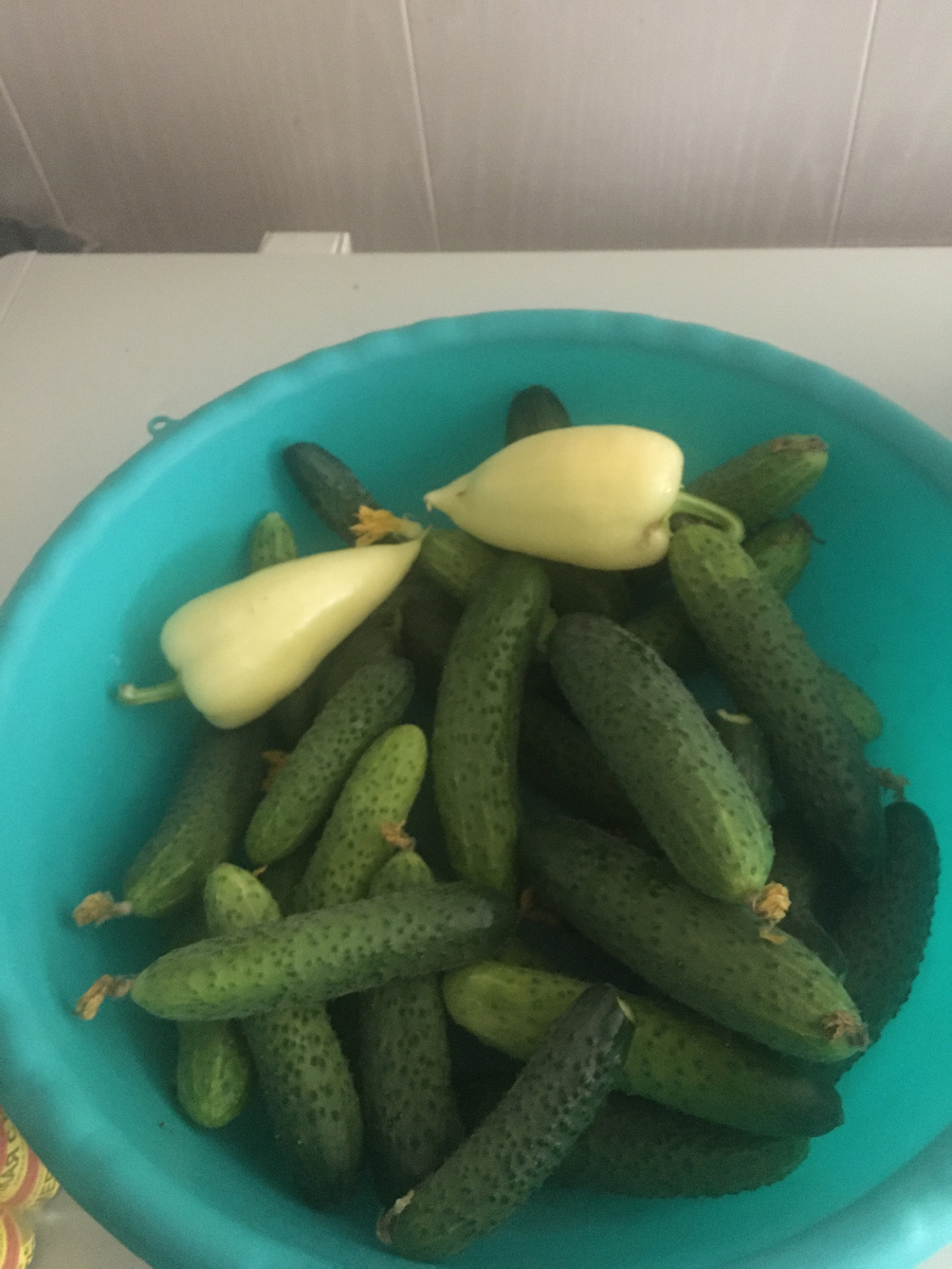 думаю на банку, засолить, хватит