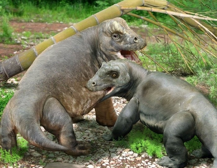 О нет! Говорила же мне мама, не ложиться на краю! 