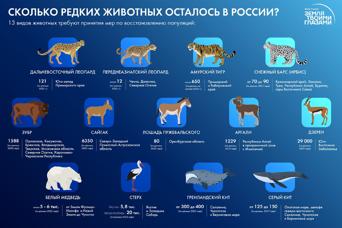 Примеры редких видов животных