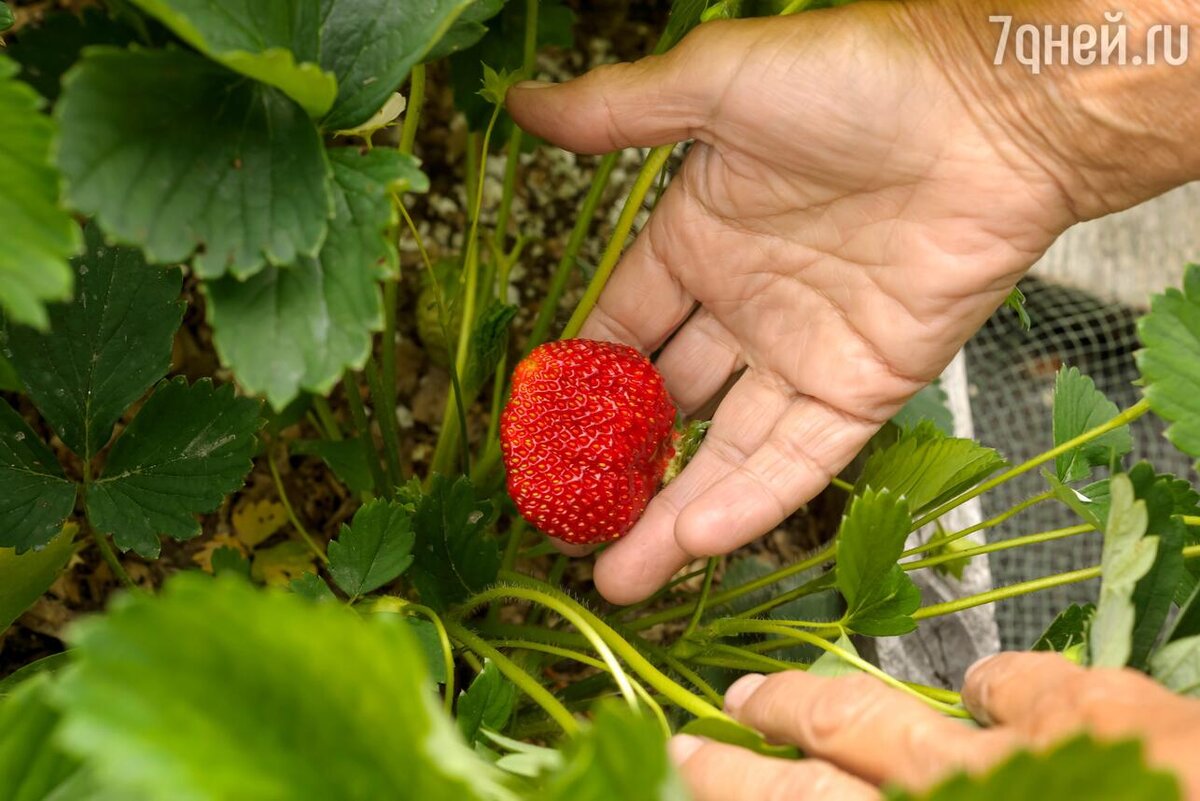     123RF/legion-media.ru