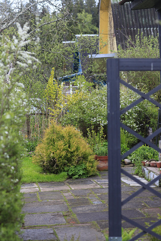 А вот весной соседские дома хорошо видны!