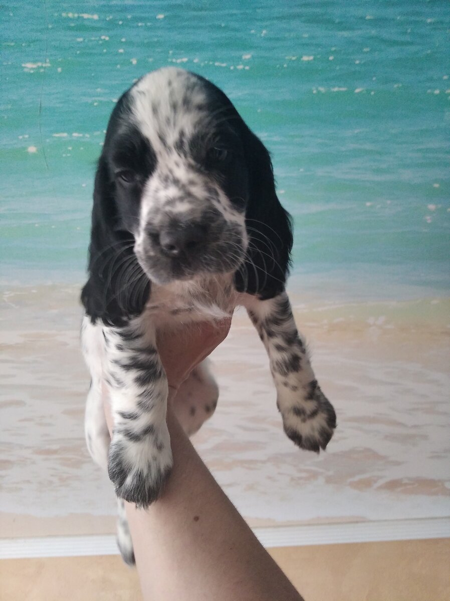 Фото из личного архива