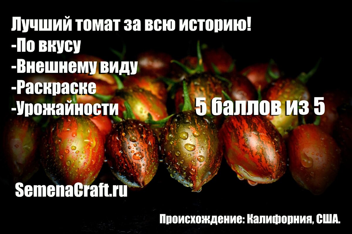 SemenaCraft.ru