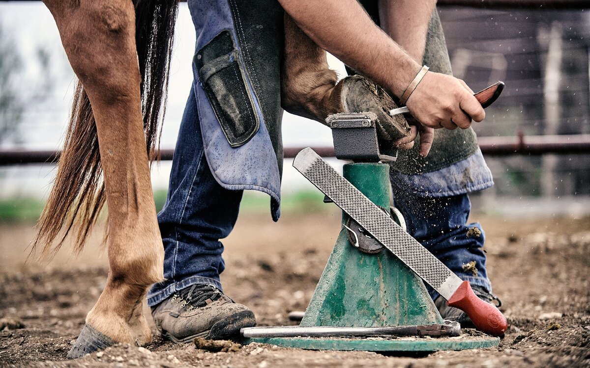 Фото из свободного источника.