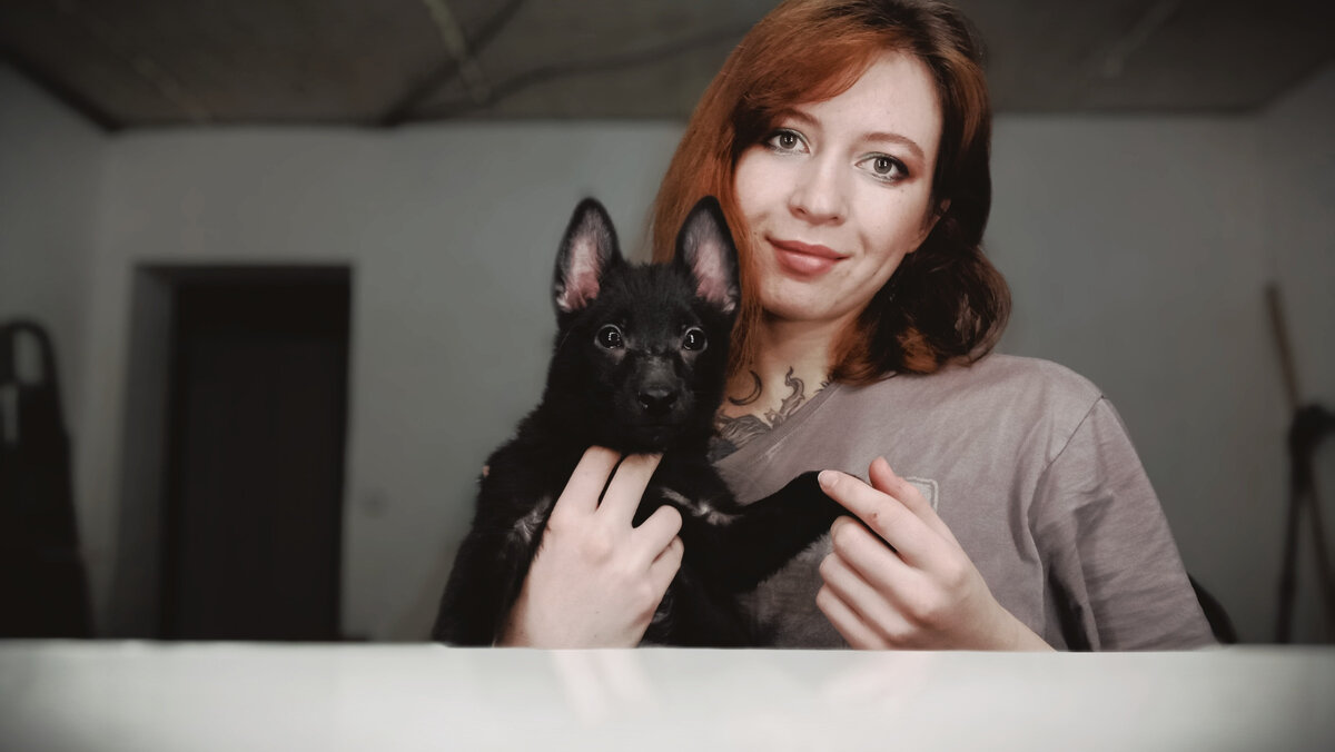 шипперке Люсик
