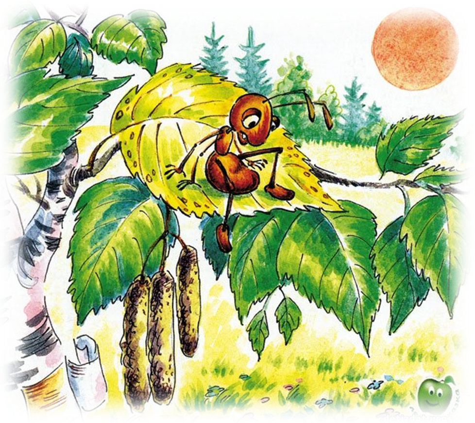 Картинка с сайта studopedia.ru