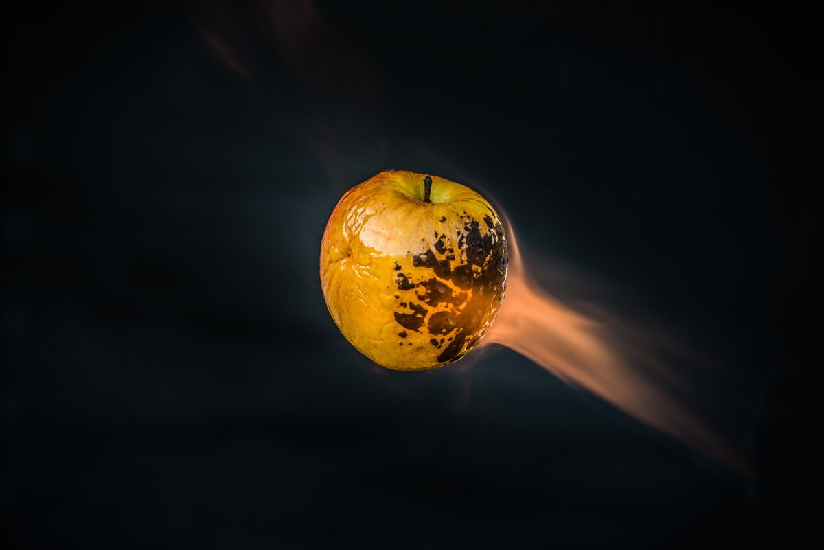 Photo by Olivier Miche on Unsplash