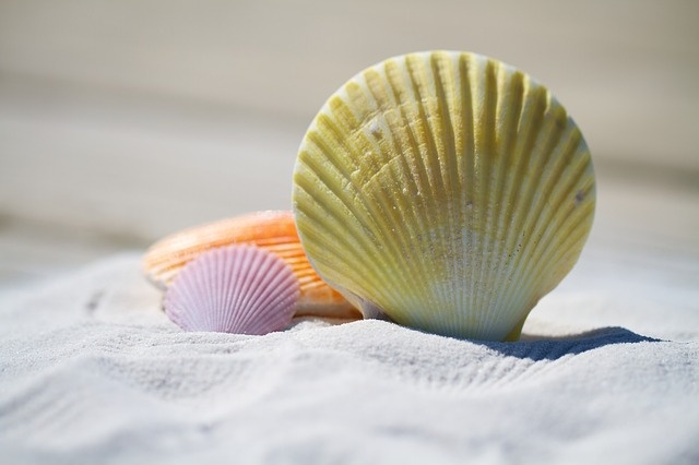 Источник: https://pixabay.com/
