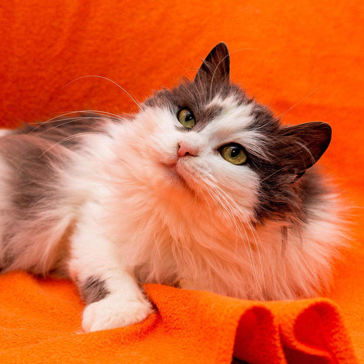 Просто море любви и нежности 