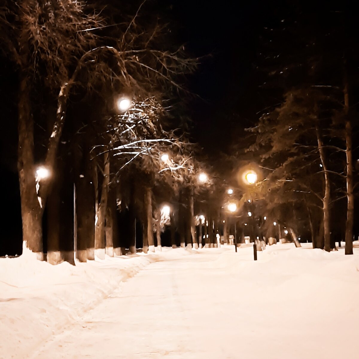 Фото хоть и не очень, но что-то определенно есть в этом... 