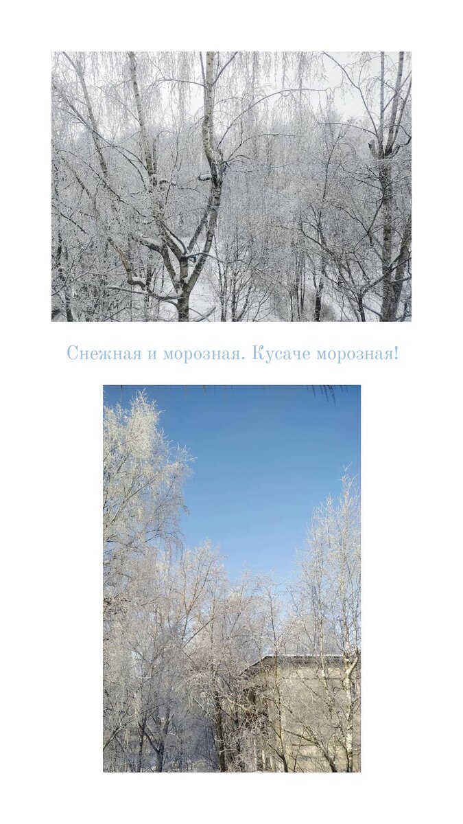 Из теплого дома зима прекрасная и чарующая