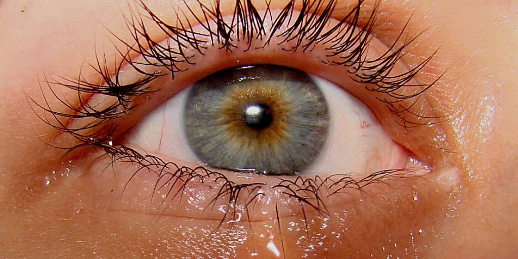 Почему в глазах нет четкости. Зарядка для глаз для восстановления зрения для детей близорукость. Люди с нарушением зрения. Почему в глазах нет четкости. Глаз с нарушением зрения.