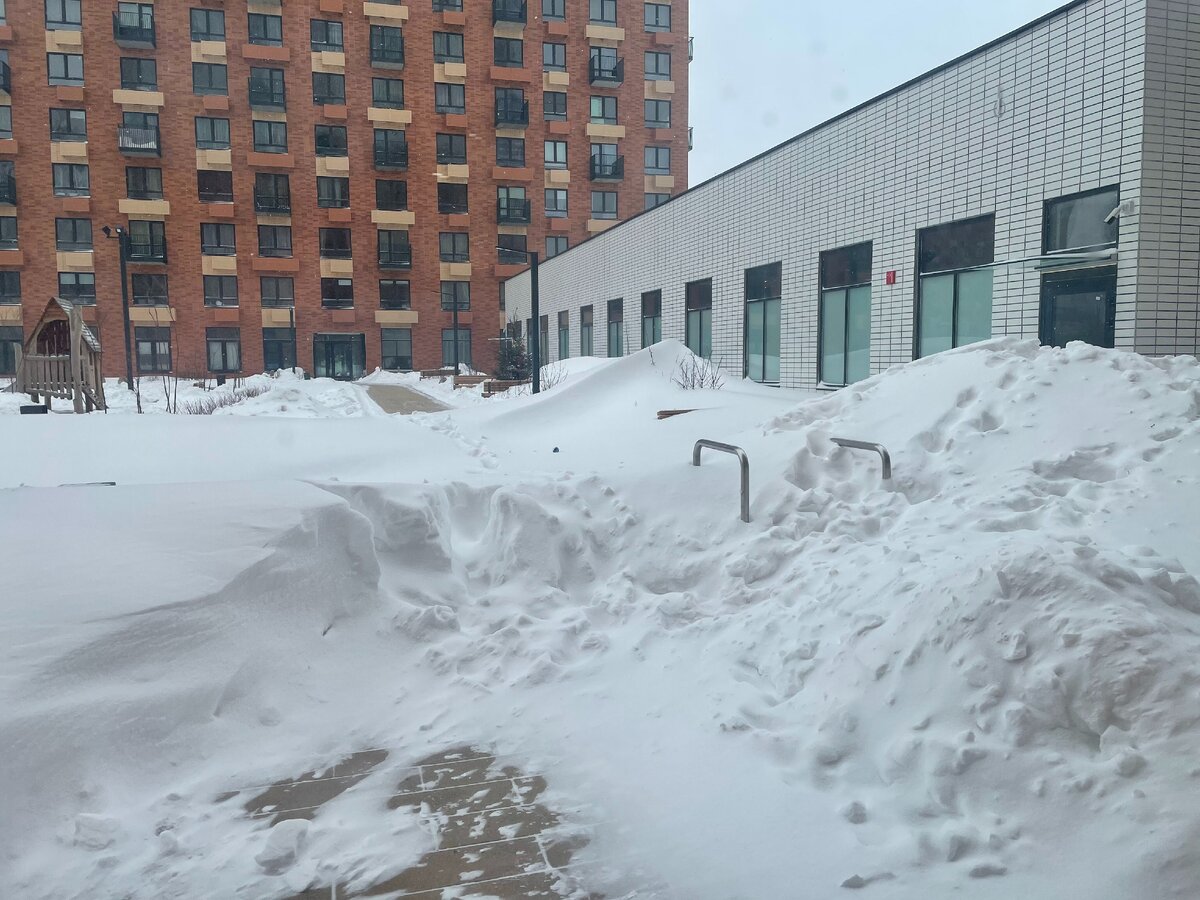 Москва много снега