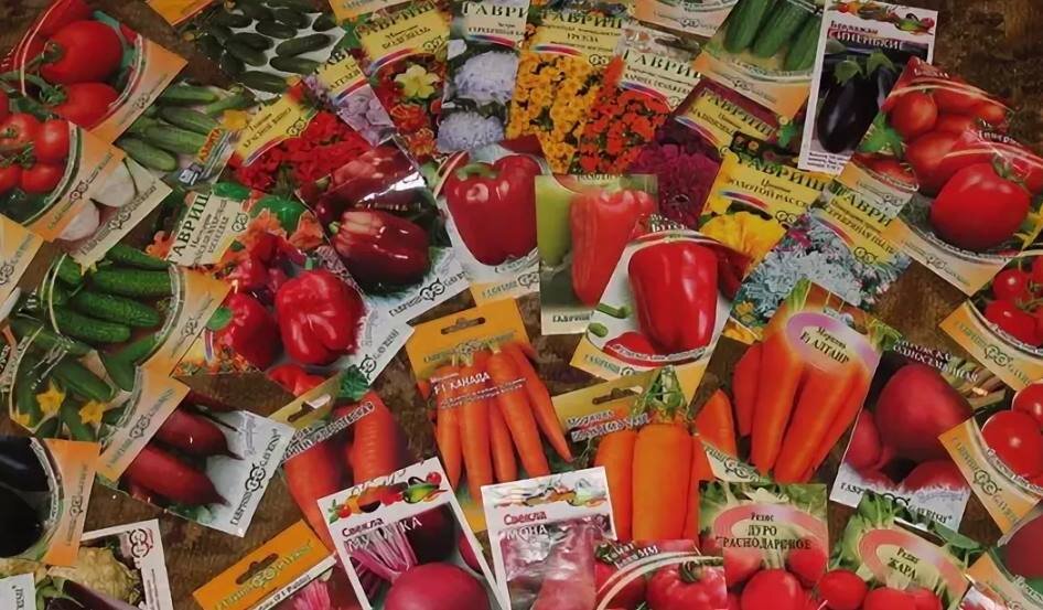 Семена овощей цена. Семена овощей. Семена пакетированные. Семена в пакетиках. Пакетированные семена овощей и цветов.