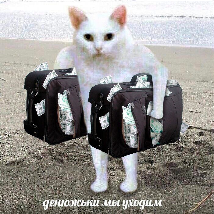 Я когда вижу, что на этой покупке сэкономить не получится 