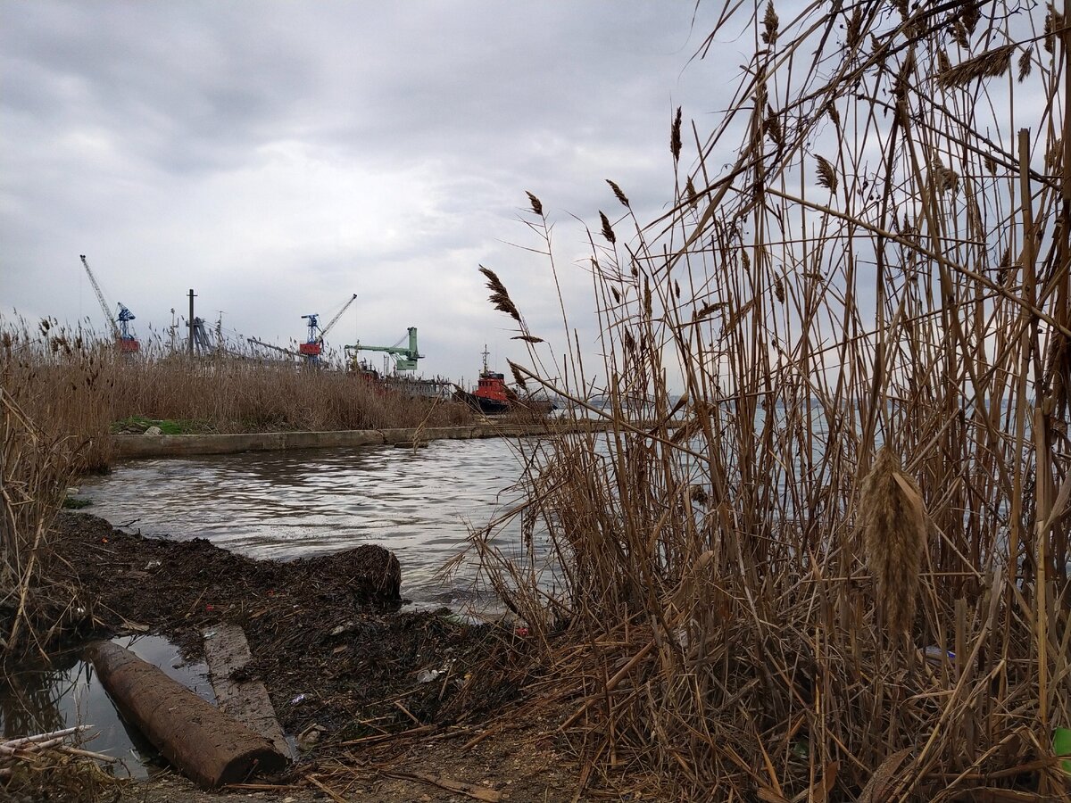 залез в г*вна ради симпатичного кадра