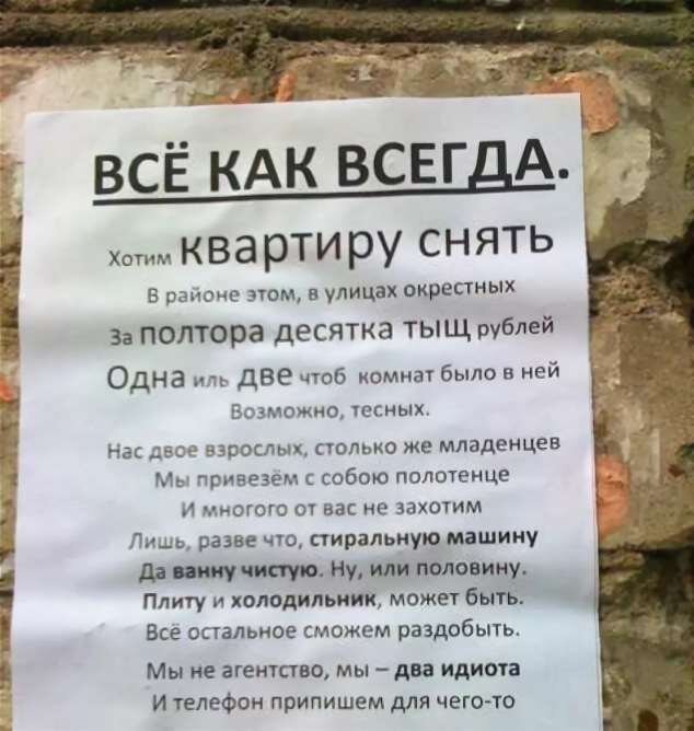 (Фото из открытых источников, для поднятия настроения, во время чтения)