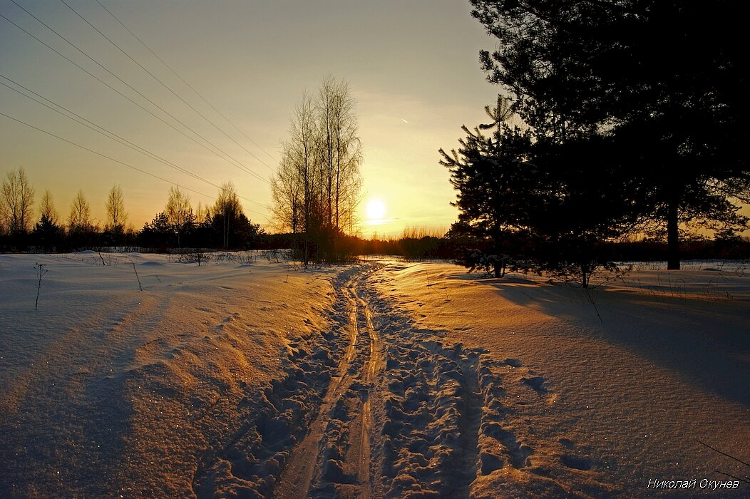 Лыжня в заснеженном лесу