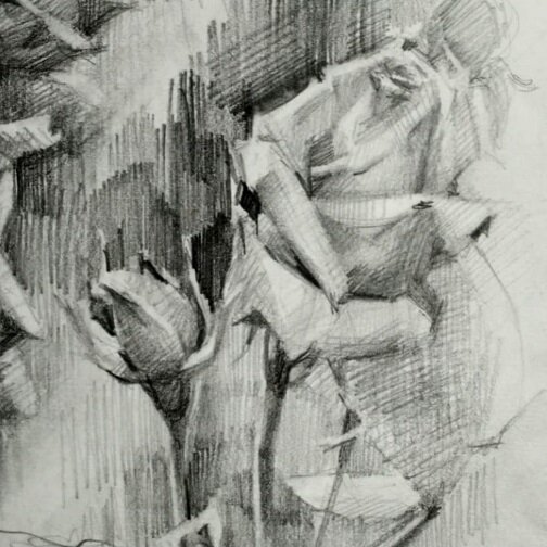 набросок бутона