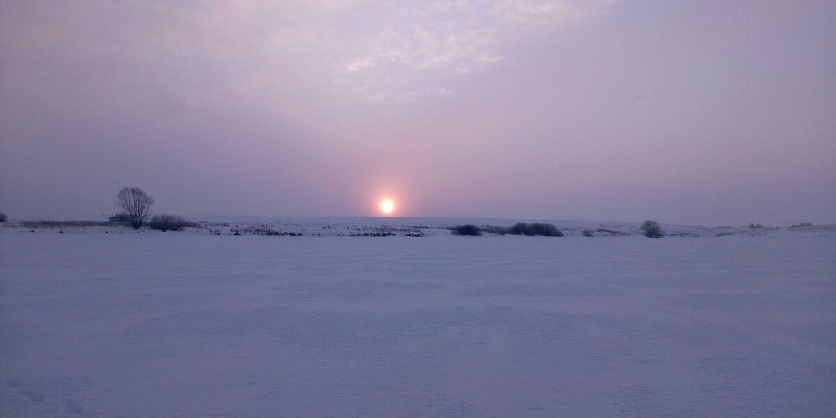 Февральское утро