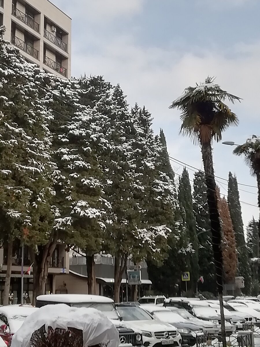 Снег пришёл и сюда :))) Мы от зимы,а она-за нами! :) 