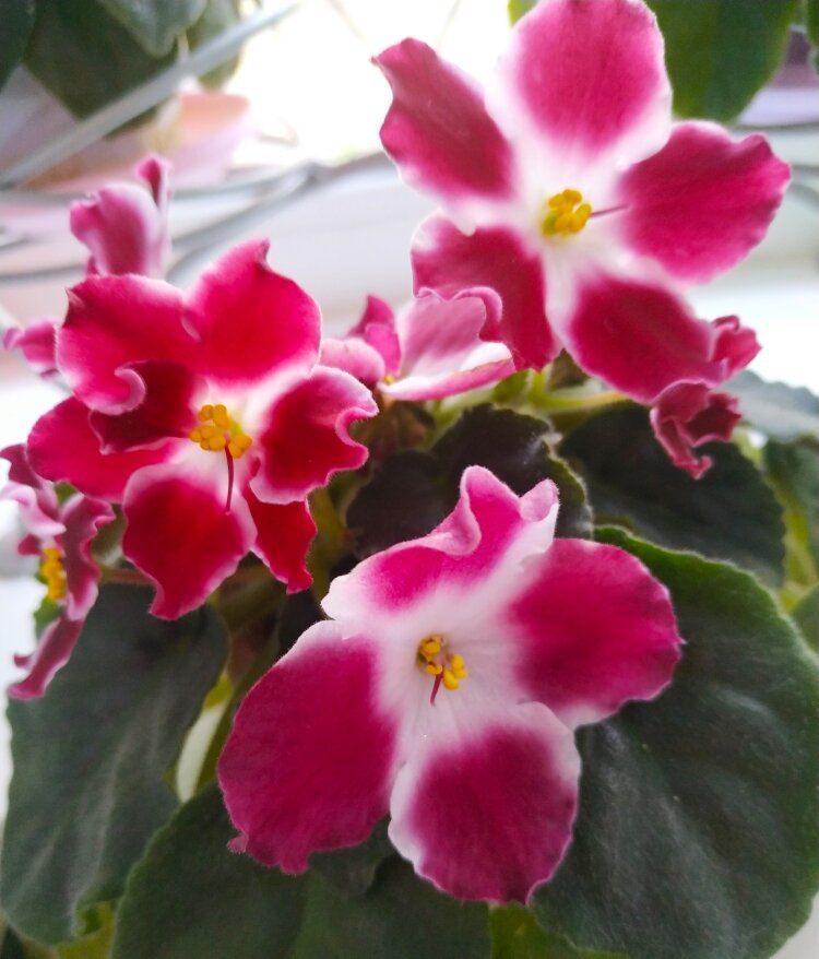 Фото из личного архива