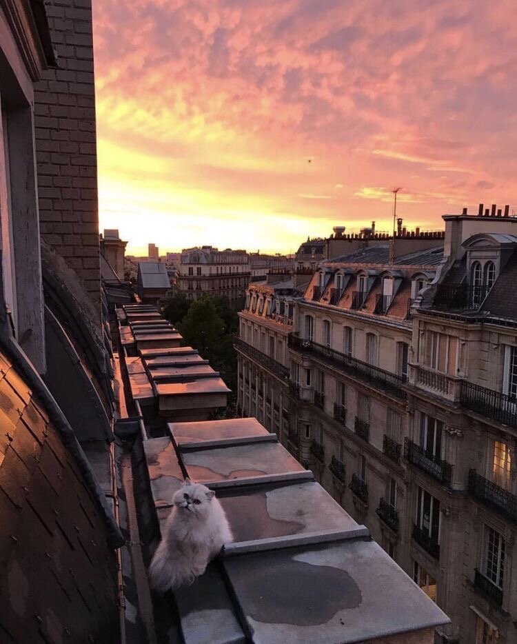 Автор:hardihop pinterest