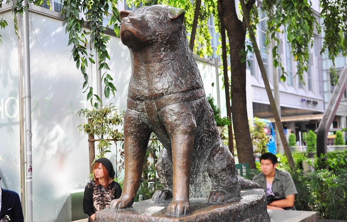 Япония, Токио, станция Сибуя