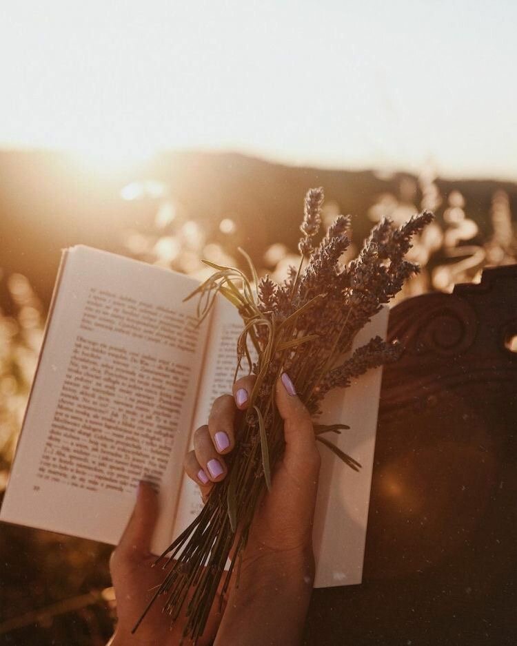 Photo from Pinterest