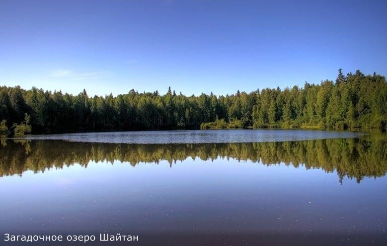 Придя на следующий день с работы домой, я увидела возлежащего на диване сына в окружении тарелок с остатками еды. Телевизор работал на ужасной громкости. Дитя, воткнув наушники, не отрывалось от экрана монитора. Однако, увидев меня, Гошка одним движением убавил громкость телевизора и накинул посудное полотенце на грязные тарелки. - Как живете, караси? – произнесла я традиционное приветствие.
- Ничего себе, мерси! – рассеянно ответил ребенок.
- Кушать подано! – из кухни нарисовался Лева в моем фартуке.
       Лева - мужчина моей мечты. Он высокого роста, широк в плечах, немного сутулится и является владельцем больших теплых рук. Кстати сказать, холодные руки у мужчин я не приемлю вообще. В молодости я рассталась с молодым человеком по причине его вечно холодных рук. Так вот, у Левки руки всегда теплые. Ему вообще всегда жарко. Он много работает и занимается спортом. У него только один недостаток – Лева женат. Супружницу его, Верку, я называю «наша жена». У нашей жены всего вдоволь – свободного времени, денег, подруг и кошек. Кошки – ее страсть. Верушка считает кошек высшими существами на планете, служит им. А точнее прислуживает. Ибо найденный ею на помойке кот Цезарь, забыв о своем грязном прошлом, мнит себя королевичем и выставляет требования прислужнице Верке в наглой кошачьей манере. Ему вторит Клеопатра – лысая представительница породы сфинкс! Остальные три девочки - мейн-куны, похожие на диких рысей кисточками на ушах и длинными сильными телами, хозяйку любят. Как можно не любить женщину, заплатившую шестьдесят тысяч рублей за каждого котенка. Мужа Леву наша жена любит гораздо меньше своих кошек, поэтому Левка ведет себя как кот у Киплинга – живет, где ему вздумается и гуляет сам по себе.
 
       После ужина я поделилась информацией об озере Шайтан. У меня ее было немного: озеро площадью около трех гектаров и глубиной более 80 метров, находится в живописном месте, окружённое хвойными лесами и является основной достопримечательностью природного заказника «Бушковский лес». Одно из самых необычных и необъяснимых явлений озера Шайтан – дрейфующие острова с растущими на них кустами и маленькими деревьями. На глади водоёма можно разглядеть около двадцати плавучих островов, из которых крупные могут выдержать до четырёх человек одновременно, а самые необычные – «перевёртыши» дрейфуют вверх корнями.
-А вот что я нарыл в интернете об Иване Костромине - гордо сообщил Гошка и встал в позу докладчика.
       Легенды о несметных сокровищах Емельяна Пугачева волнуют воображение многих поколений кладоискателей. Говорят, в казне атамана имелись несметные богатства, отобранные у татарских и башкирских ханов. По свидетельствам современников Пугачева, лошадь атамана была покрыта попоной, расшитой рубинами и сапфирами, а сам Емельян носил при себе огромный бриллиант. И эти сокровища так и не нашли!
       Есть версия, что казна Пугачева и его сокровища были отданы Емельяном другу и соратнику, уроженцу вятской губернии Ивану Костромину. Ивашка с обозами, нагруженными Пугачевскими богатствами прибыл в  родную губернию, а именно в маленький городишко, затерявшийся в лесах, под названием  Уржум, надеясь укрыться от царева возмездия среди вятских увалов. Так он и обосновался в Уржумском уезде, переквалифицировавшись в грабителя. Объединив  все местные банды, он фактически монополизировал разбой на прилегающих к Уржуму территориях. По сей день сохранились старые названия холмов, по которым дороги вели в город – Отрясовская гора – где отрясали, Теребиловская гора – где теребили, крестьяне предпочитали ехать  в объезд, через Поповскую гору, там с божьими молитвами можно было добраться до заветной цели.
       Награбленное добро  Ивашка менял в Москве или Казани на золото и драгоценные камни, в которых толк знал. Сокровища эти люди прозвали «Увалово золото» потому что прятали разбойники их в глухих местах Вятских увалов. За проделки свои Ивашка был проклят жителями уезда. Когда на забавы Костромина обратила внимание царская власть, ему пришлось спасаться бегством, спрятав куда-то  несметные богатства, отнятые у добрых граждан.
       Существует версия, что сокровища спрятаны  в озере недалеко от деревни Индыгойка Уржумского уезда. Там есть озеро, которое по легенде образовалось из лужи крови и слёз, вода в нем  имеет тёмный, практически чёрный цвет, но, набранная в ёмкость, вода становится чистой и прозрачной как слеза. Это место, окруженное непроходимыми лесами, расположено далеко от торговых путей и дороги на Москву. Потомки беглого разбойника до сих пор надеются отыскать клад и построить храм, чтобы искупить проклятие, наложенное обиженными крестьянами.
       Местные историки не исключают, что сокровища так и хранятся в озере. Ведь ни расшитая тысячами бриллиантов, рубинов и сапфиров лошадиная попона, ни огромный бриллиант, которые, по слухам, были отданы  атаманом на сохранение Костромину, ни «Увалово золото» преумножившее Ивашкино богатство, до сих пор так и не найдены. 
       В середине XX века слухи о несметных сокровищах дошли до Москвы. Кладом заинтересовался сам Хрущев. И вот в Индыгойку приехала бригада московских водолазов со всем необходимым для поиска золота. Но озеро затянулось странной дымкой, дна водолазы достать не смогли из-за поваленных деревьев, видимость из-за поднявшейся мути  была нулевая, холод пробирался в водолазные костюмы  и даже видавших виды кладоискателей испугало зловещее бурление в озере которое сопровождалось глухим шумом, разносящимся на несколько километров по лесному массиву.  Погружение было остановлено только после того как в средине озера взметнулся  фонтан высотой до десяти метров. И хотя  происхождение этого явления наука объясняет сифонной циркуляцией подводных вод,  кладоискатели, напуганные странными явлениями, прекратили поиски и вернулись в столицу.