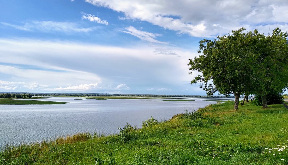 https://pixabay.com/ru/users/winklerchristopher-16233785/