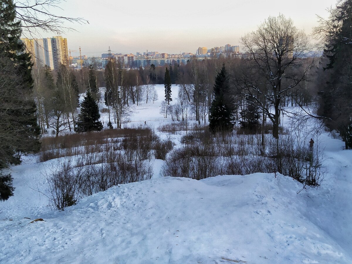 Вот как они выглядят сейчас. Вид с вершины Парнаса на пруды.