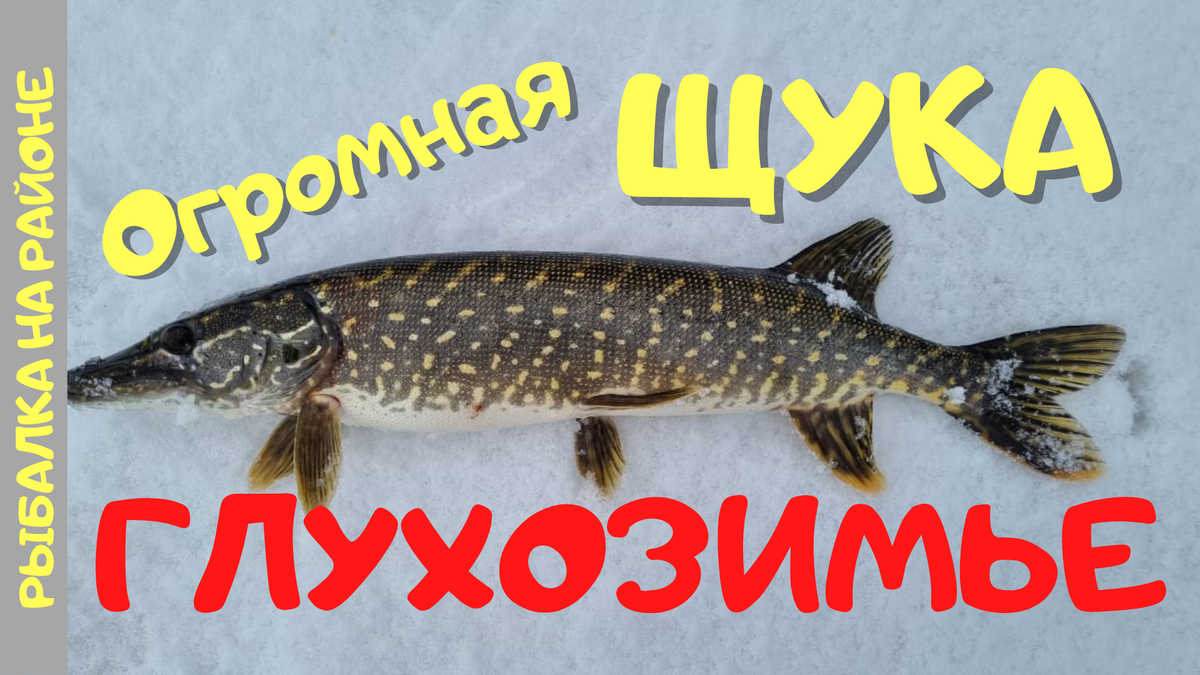 Иллюстрация к статье. Превью видео