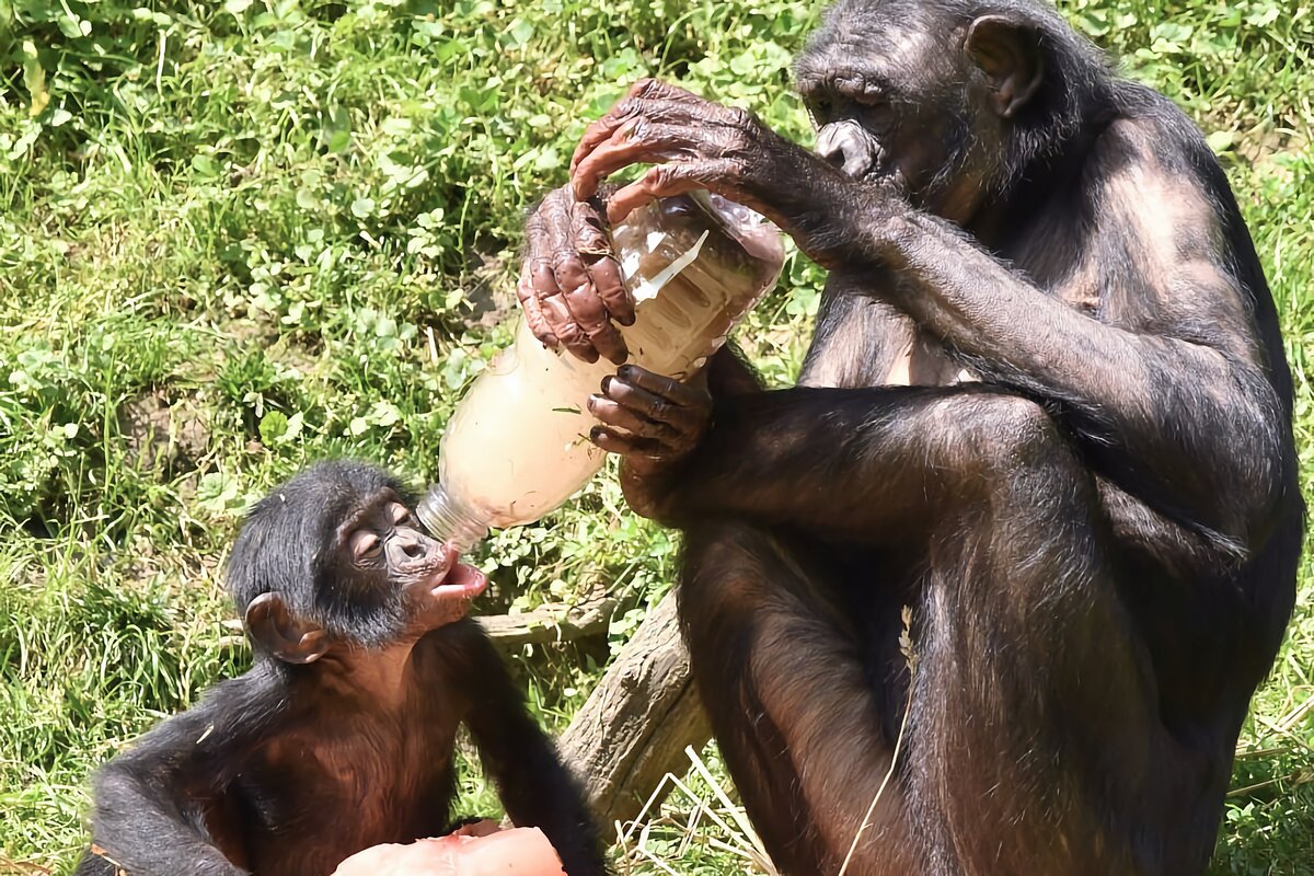 «Сыну замучила жажда»