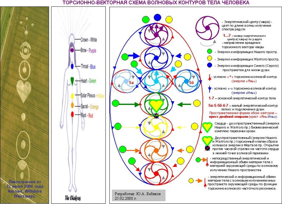 8 тел человека. Энергетическая система человека и чакры. Энергетические центры человека схема расположения. 12 Чакровая система человека схема. Чакры человека схема и направления.