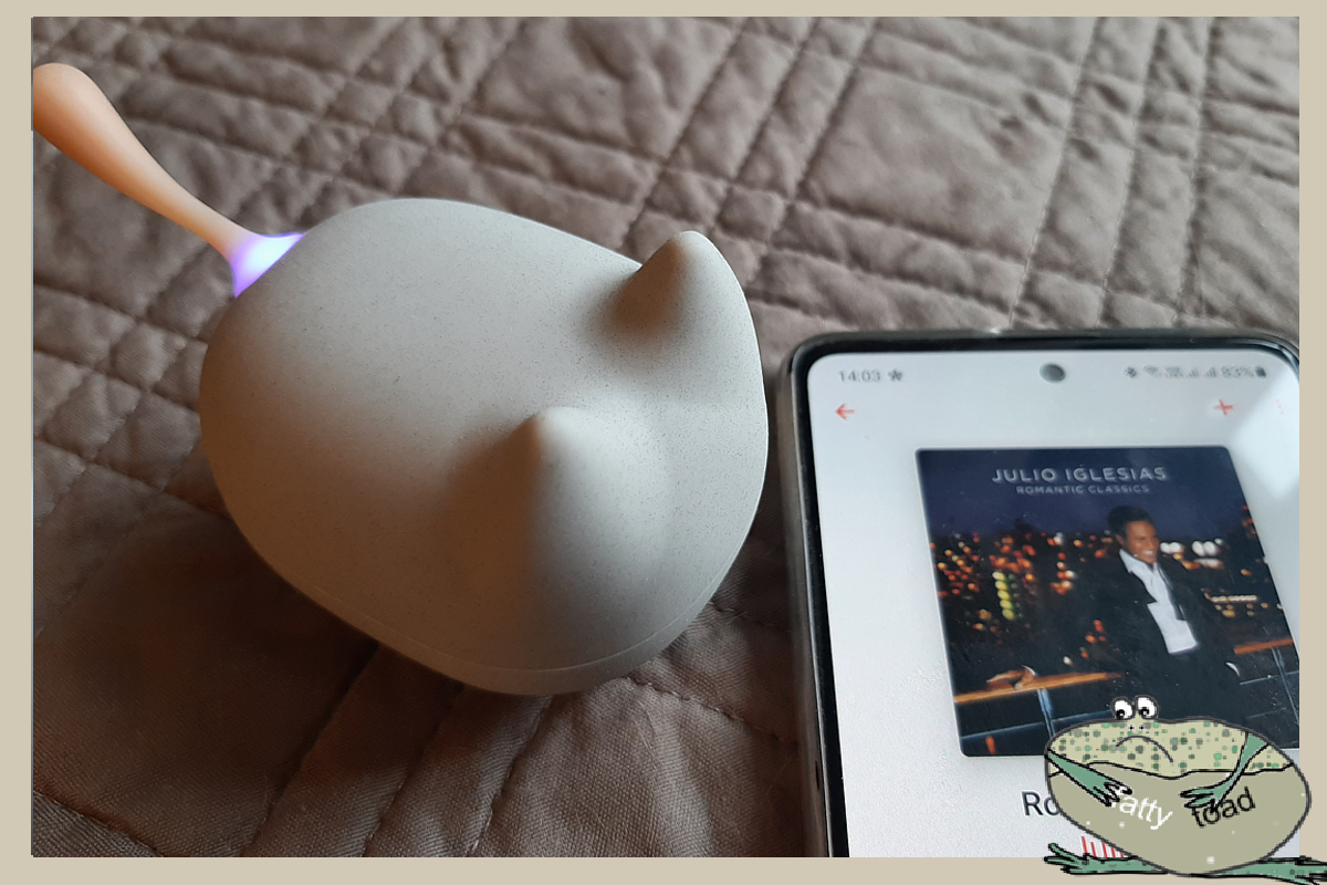 та самая безделушка и то самое фото, всколыхнувшие воспоминания. Хотя играла другая мелодия...