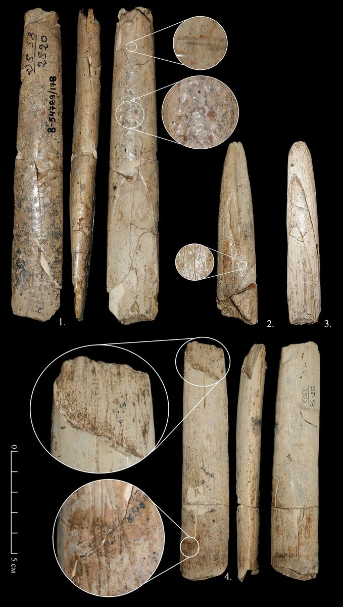Орудия homo sapiens. Источник: msu.ru
