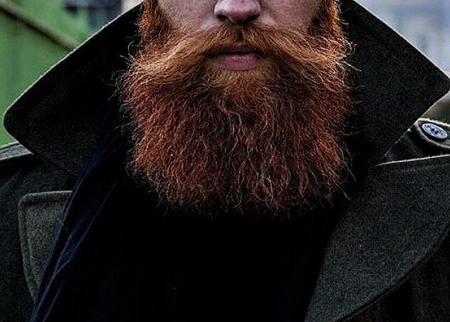 фото из свободного источника