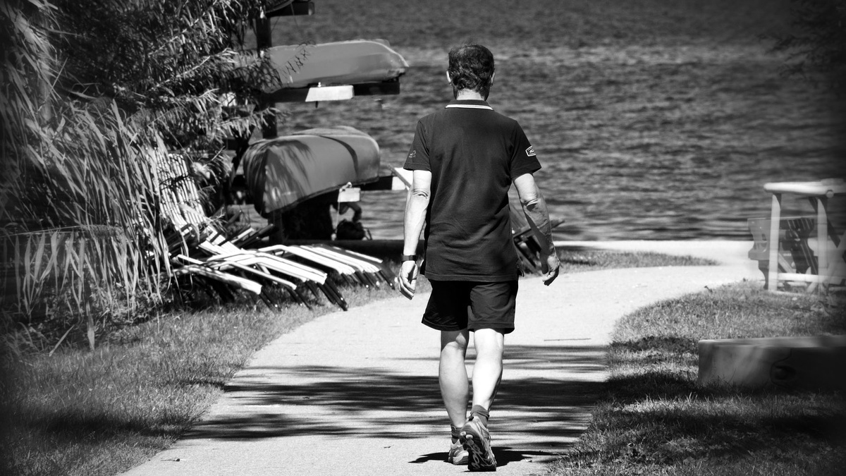 Image by Manfred Antranias Zimmer from Pixabay 