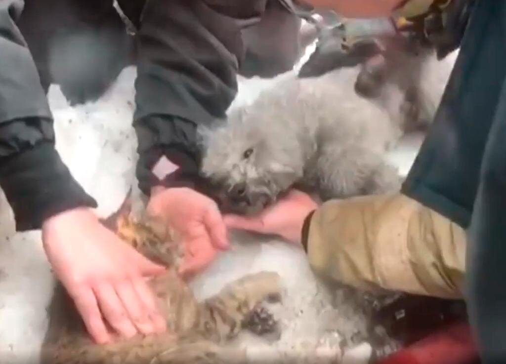 Кадр: Daily Storm 