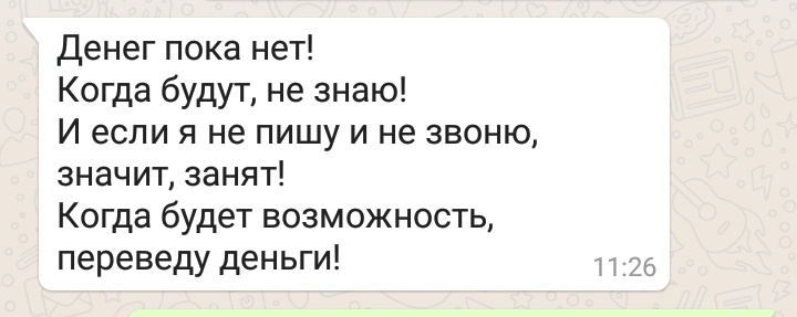 Скрин переписки автора в WhatsApp