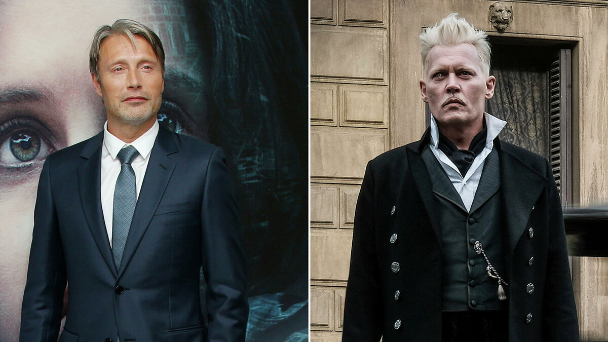 Фотография взята из интернета.