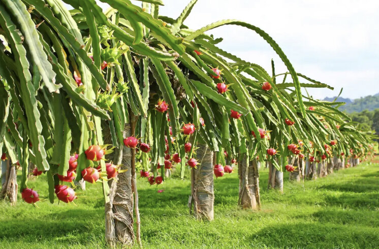 Фото взято с Яндекс.Картинки