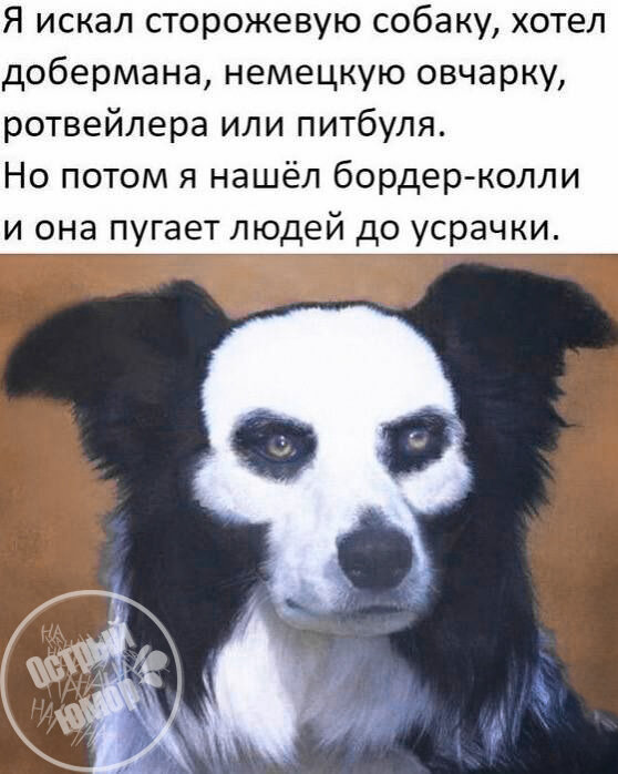 Не дай бог такую ночью встретить😵