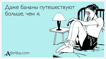 Бананы уже не будут прежними: как необратимо изменилась эта ягода?1