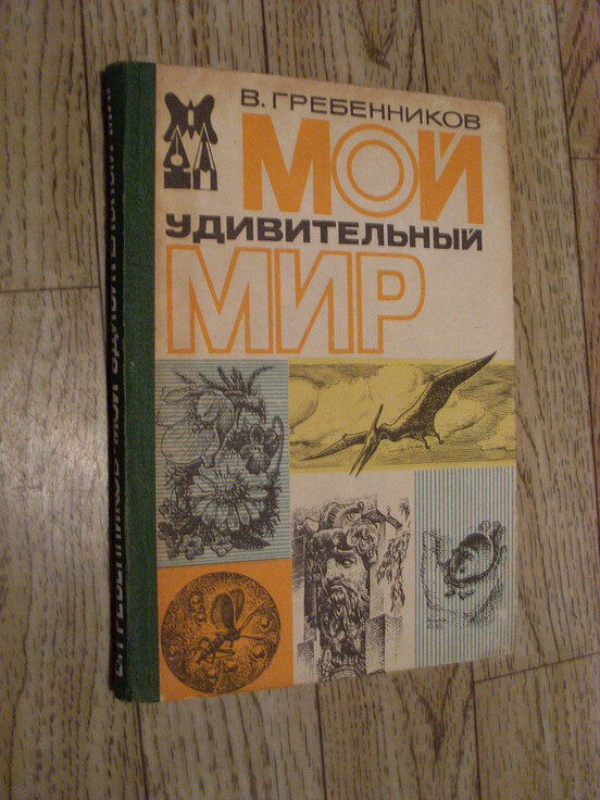 Гребенников - троль 90х, фейк летающая платформа | Креферма - ферма ...
