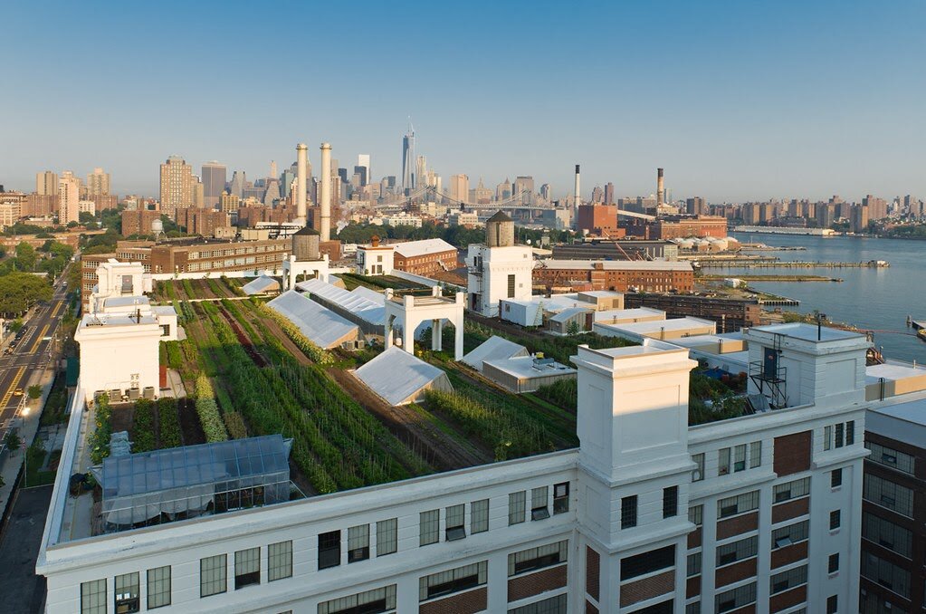 Brooklyn Grange, Нью-Йорк, США. Самая крупная в мире ферма, расположенная на крыше.
Фото: КБ Стрелка