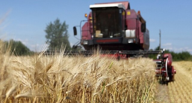 Зерно - один из наиболее генетически модифицированных продуктов питания, поэтому вы должны быть уверены, что используемые зерна были приобретены на экологически чистых фермах.